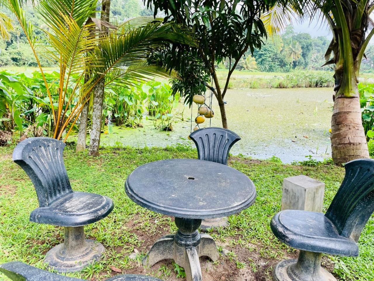 Villa Secret Garden Mirissa Extérieur photo